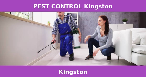 PEST CONTROL Kingston